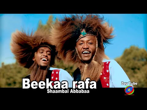 #EthiopianMusic #OromoMusic #Like - Shaambal Abbabaa - Beekaa rafa - New Oromo music official video