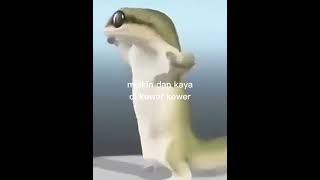 Download lagu cicak joget 🗿🔥 mp3