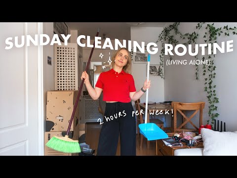 apartment weekly cleaning routine living alone 🧹🧼✧･ﾟ