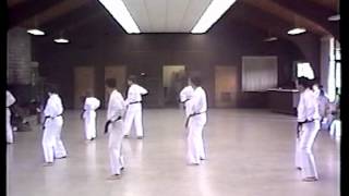 preview picture of video 'Lewisburg Wado Ryu 2/22/92'