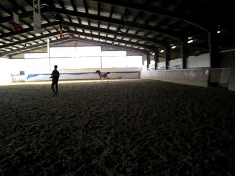 bay event prospect ehrenpreis 3