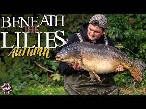 A SEASON OF CARP – BENEATH THE LILIES: AUTUMN | DNA BAITS | CARP FISHING | OLLY SANDERS