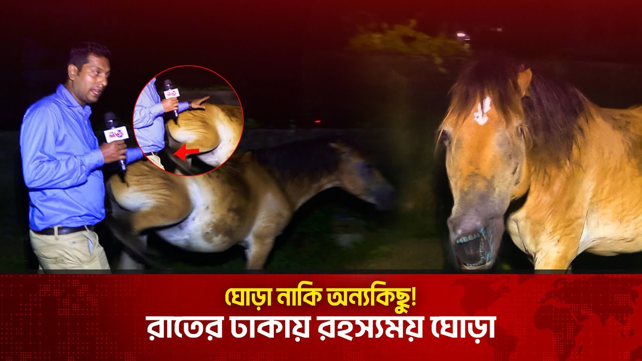গভীর রাতের ঘোড়া নাকি অন্যকিছু!