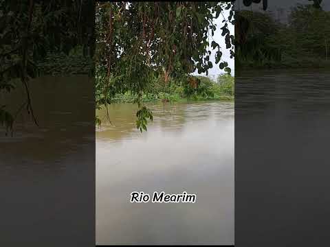 Povoado Palmeiral Esperantinópolis Maranhão 🇧🇷