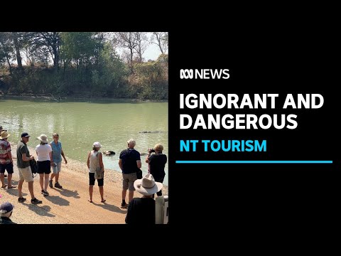 Tourists risking lives to see crocodiles at Cahills Crossing in Kakadu National Park | ABC News