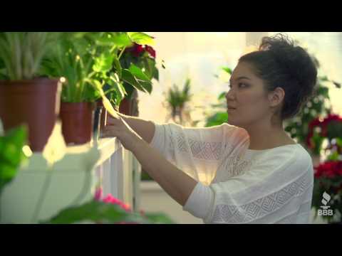 Start with Trust - Search BBB Today!