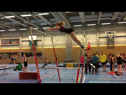 NSTC1 2017 Kim brug D3