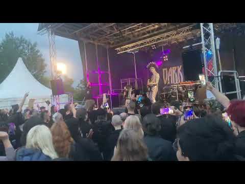 Tilly Electronics - Kaffee & Katze - Dark Affair - 18.05.2024