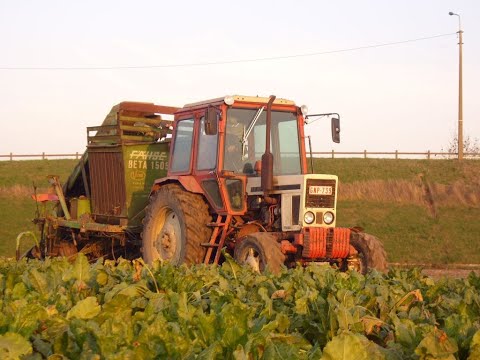 Landb. Deconinck - Beveren-Leie - Belarus BX 90 - Fähse Beta 1505