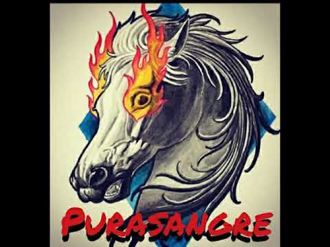 Purasangre Rock and Roll - El pantano