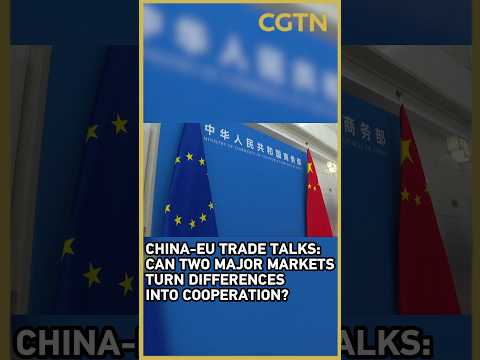 China-EU trade talks: The road to cooperation?