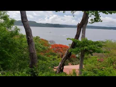 Videos del Occidental Papagayo 5★ en Papagayo, Costa Rica
Ver Más
Ver
Precios
21
Cerrar
Consulta por Whatsapp 🇦🇷
Booking
Tripadvisor
Expedia
Agoda
Travelocity
Orbitz
Priceline
Trip
Skyscanner
Despegar
Kayak
Hoteles
Bestday
Destinia
Trivago
Turismocity
Almundo
Lastminute
Hotwire
Tui
Wotif
