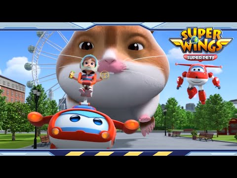 Witness21 Editor  2022 04 23