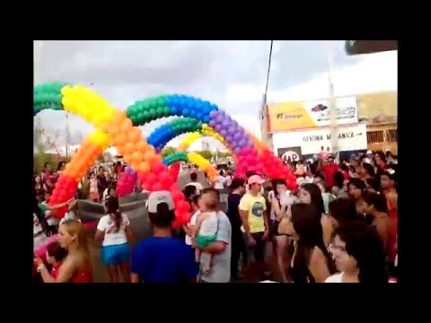 9° Parada da Igualdade de picos - PI. 2015