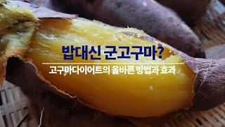 밥대신 군고구마?  고구마 다이어트의 올바른 방법과 효과