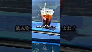 アコード日常vlogまとめ　1周目