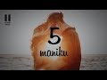 Puppy Anji Maniku Song WhatsApp Status Yuvan SOUND PAUSE