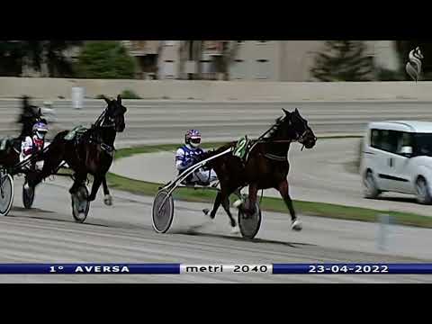 Aversa trotto 23 Aprile 2022 - 1° Corsa