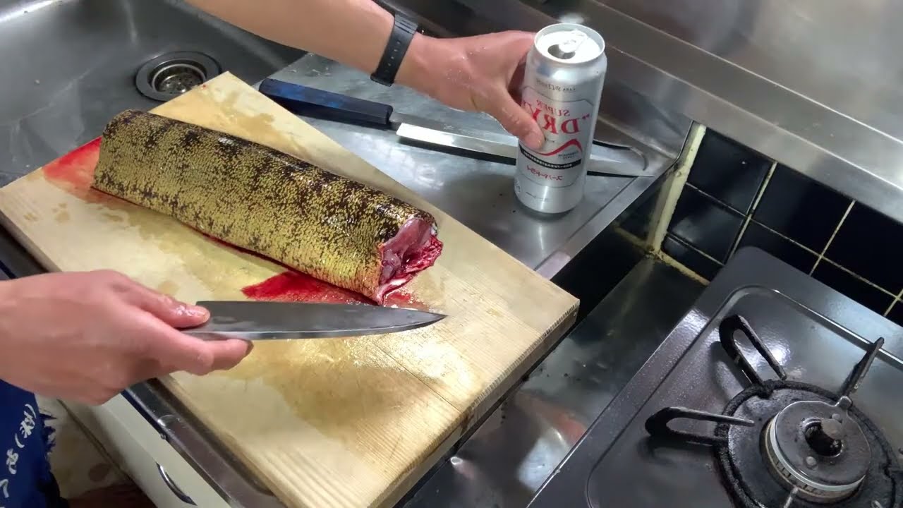 夕食ライブ 2026.2.22 ウツボ