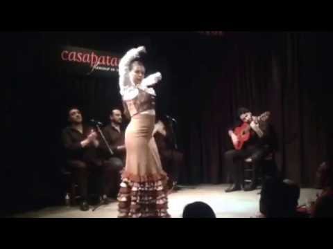 LA SERRATA por Taranto en Casa Patas