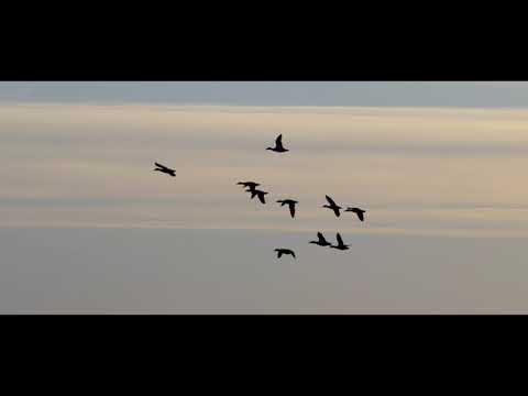 Eldrim - Endeår (First scratch recording)