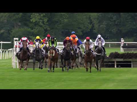 PE, 10. 8. 2019, 2. dostih - Cena Mezinárodní výstavy Koně v akci