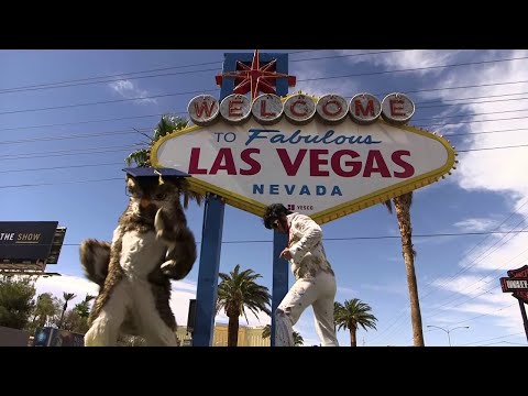 Sage and WGU in Las Vegas, Nevada for Commencement