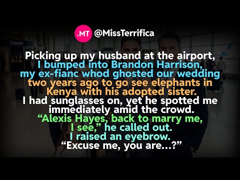 Picking up my husband at the airport, I bumped into Brandon Harrison...