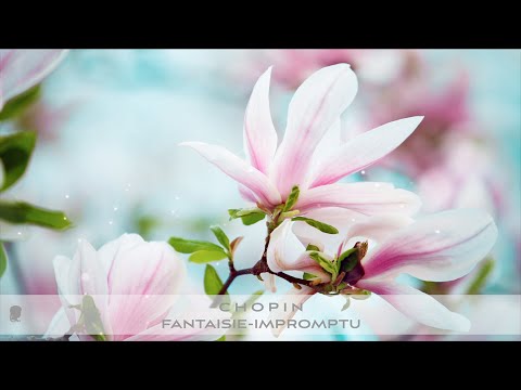 Chopin – Fantaisie-Impromptu In C Sharp Minor, Op. 66