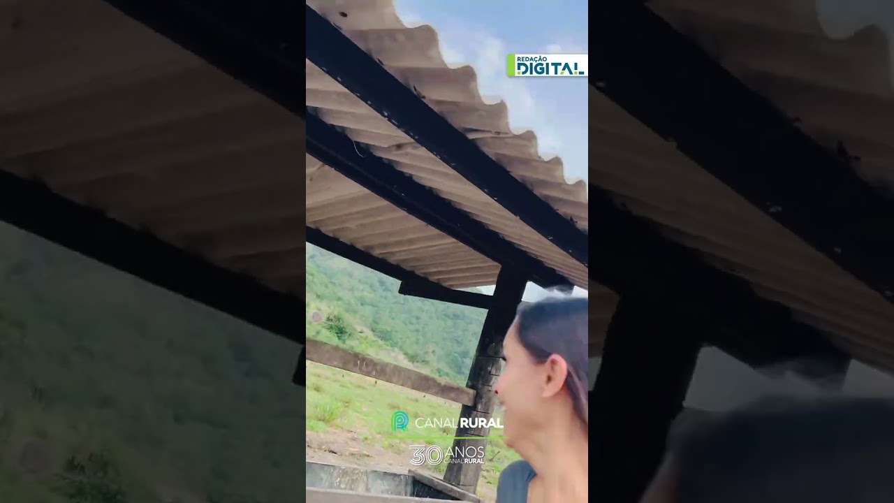 Vaca surpreende ao correr em direção a homem durante gravação