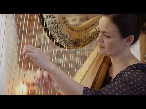 le Concerto pour harpe de Ginastera - Anne Le Roy Petit, soliste de l'Orchestre National de Lille