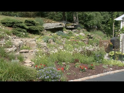 Rock Ledge Garden With Over 100 Named Plants