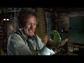 Flubber (1997) The Invention Of Flubber