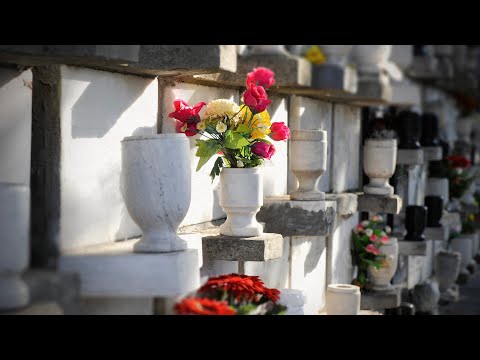 Why Shouldn't We Take Cremated Remains Home or Scatter the Ashes?