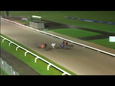 BGBF & Nottingham British Breeders Stakes Heat 3 - Signet Hawk