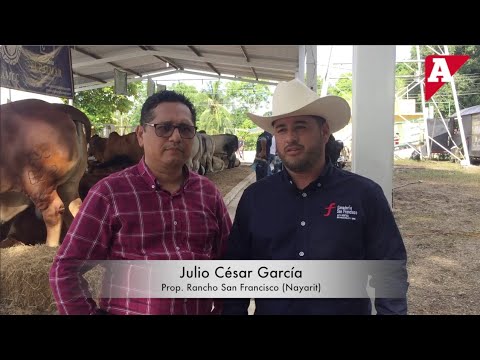 Rancho San Francisco y su decisión por la crianza del Brahman