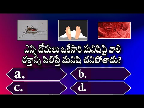 #telugu interesting questions and answers #gk #general knowledge #trivia quiz #unknown facts