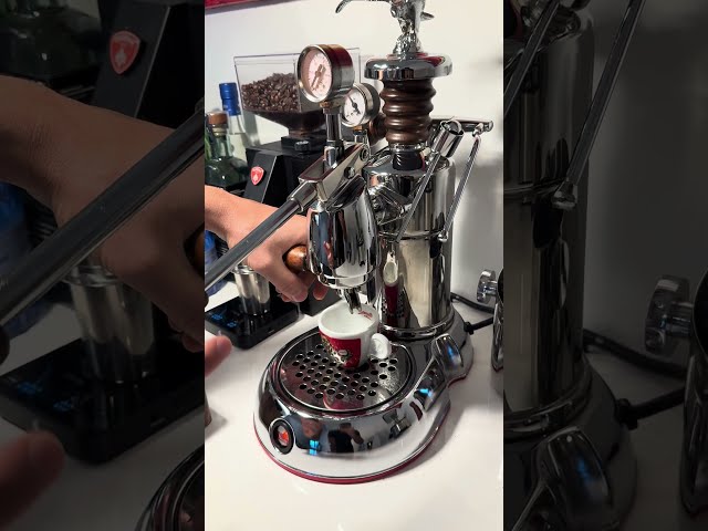 Vídeo relacionado con la Pavoni Professional PRG Independiente Semi-automática Máquina espresso 1.6L 16tazas Oro - Cafetera (Independiente, Máquina espresso, 1,6 L, De café molido, 1000 W, Oro)