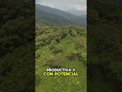 ¡Tu próximo gran proyecto agrícola y ganadero empieza aquí! 🐄🌾 #ecuador #agricultura #alquilercasa