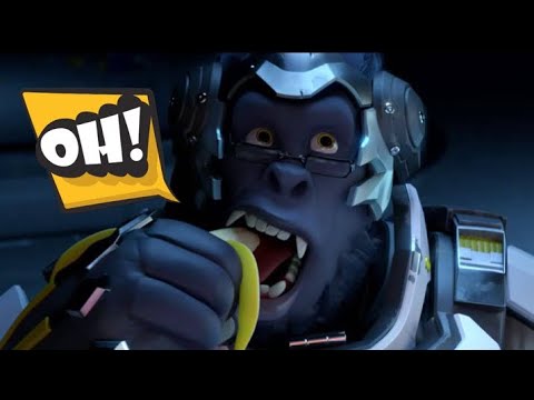 Picking An Overwatch Character At Random Goes Wrong