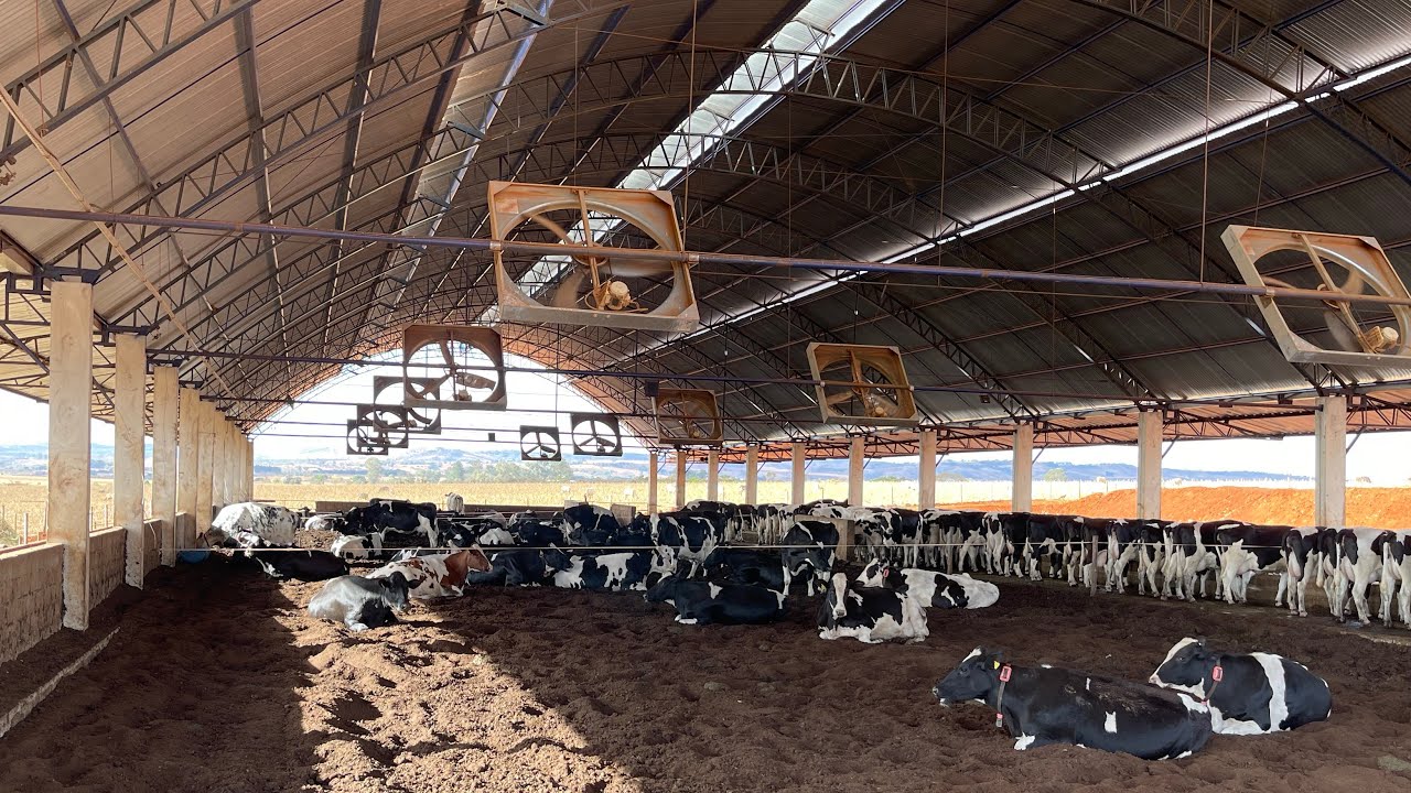 DICAS PARA VOCÊ QUE VAI CONSTRUIR UM COMPOST BARN!