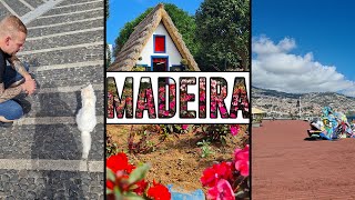 Flower Island | Madeira Portugal