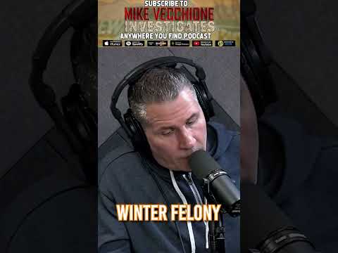 Mike Vecchione Investigates - Seasonal Felony