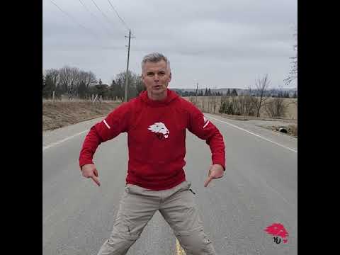 York Lions | The Art of Rollerblading