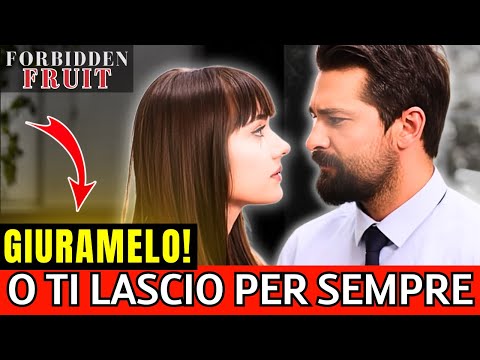 "I'm leaving you forever!" - Zeynep destroys Alihan with an impossible condition | FORBIDDEN FRUIT