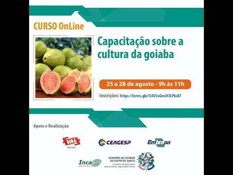 , title : 'Curso sobre Produção de Cultura da Goiaba - 4ª parte.'