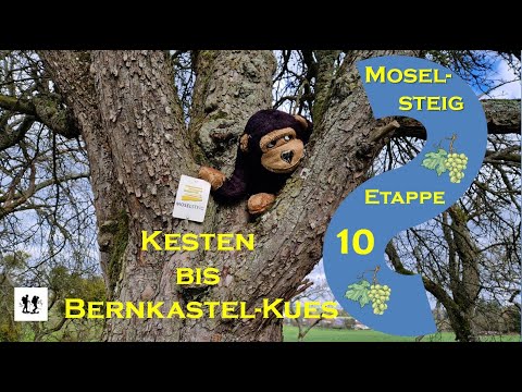 #Moselsteig, Etappe 10:  Von Kesten nach Bernkastel-Kues