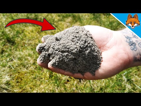 Verteile Asche auf deinem Rasen und STAUNE WAS PASSIERT 💥