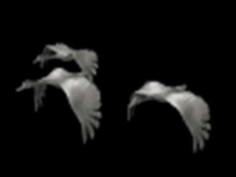 Amor Ausente video