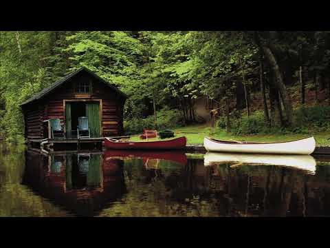 Nightingale Song | Lakeside Forest Ambience | Relaxing Sounds of Nature